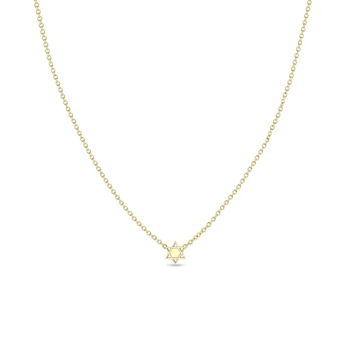 14k Itty Bitty Star of David Necklace