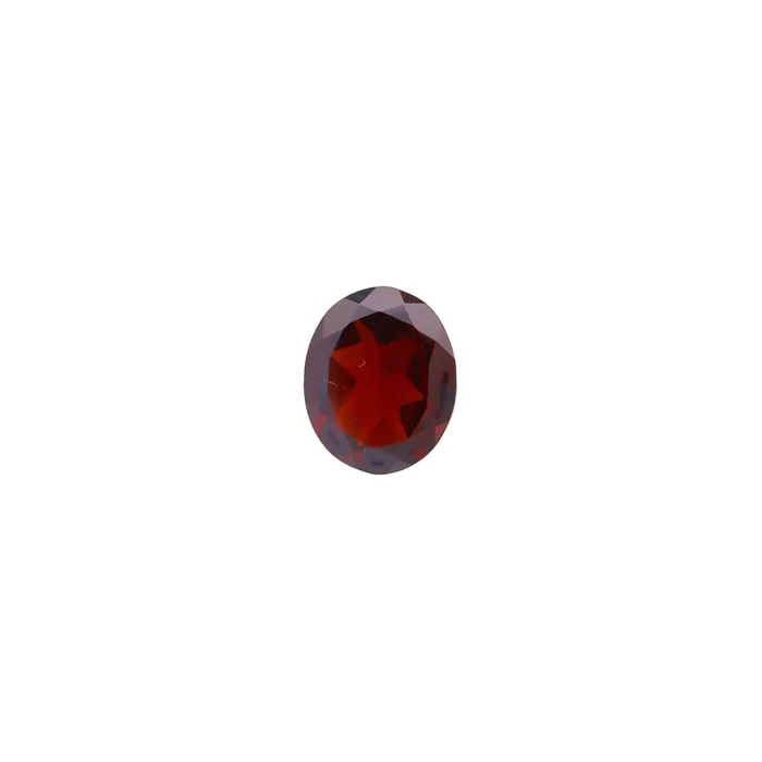 3.90Ct Garnet Birthstone