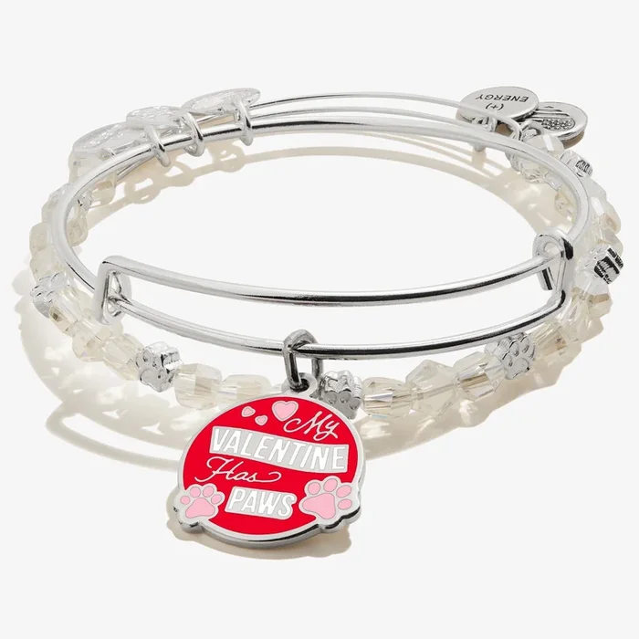 ‘My Valentine Has Paws’ Charm Bangle Bracelet, Set of 2