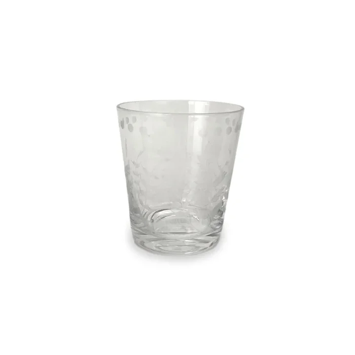Beatriz Ball Glass Fern With Dots Double Old Fashioned Set – Set of 4