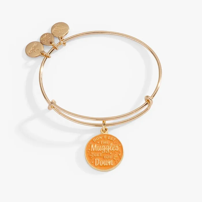 Harry Potter™ ‘Don’t Let The Muggles Get You Down’ Charm Bangle Bracelet