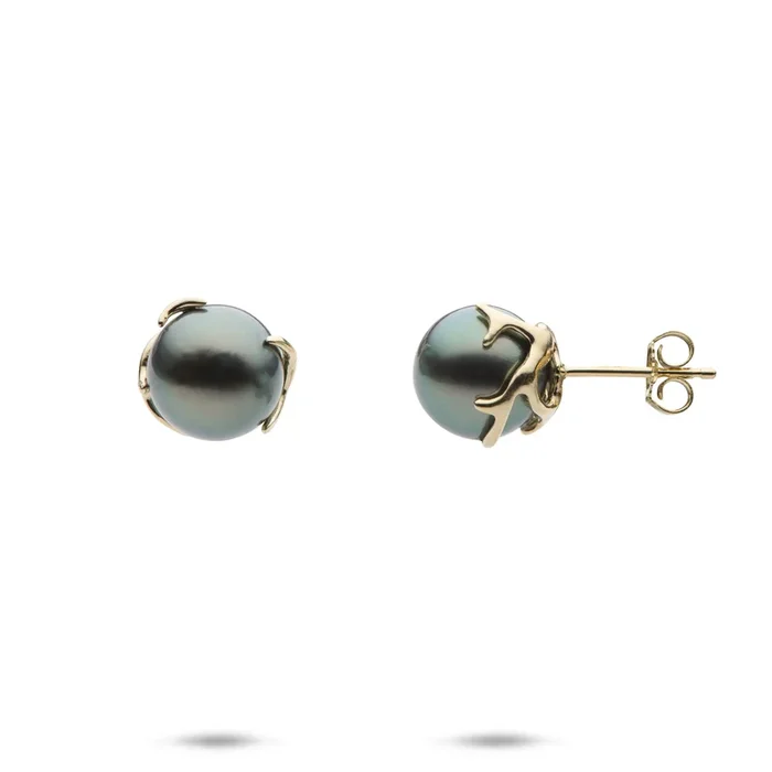 Heritage Tahitian Pearl earrings in Gold -9-10mm