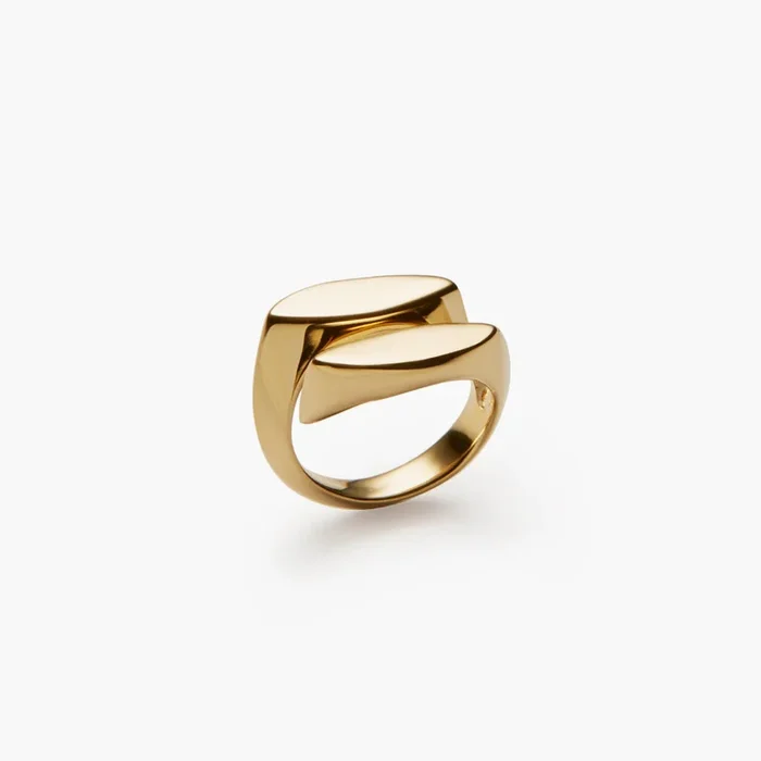 Men Déchainée Signet Ring