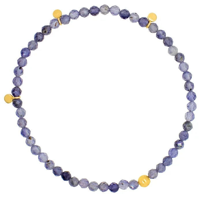 Pyrite’s Booty Bracelet in Iolite with Gold Discs