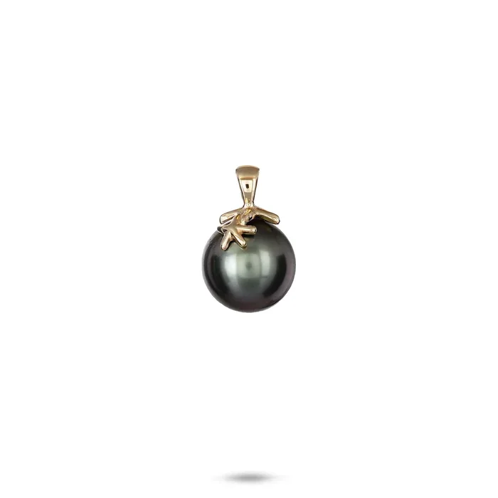 Reefs Starfish Tahitian Black Pearl Pendant in Gold – 10-11mm
