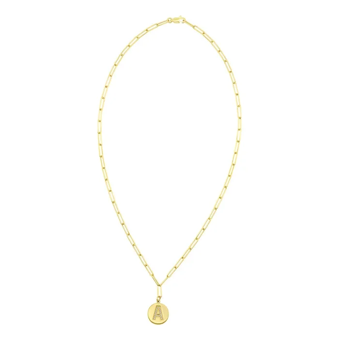 Tarnish Resistant 14k Gold Plated Pave Crystal Initial Disc Paperclip Necklace
