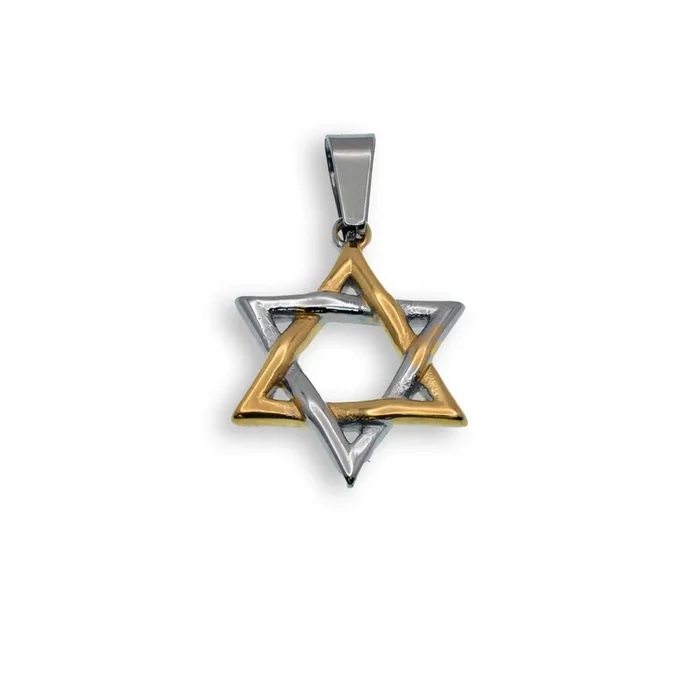 Two Tone Gold & Rhodium Plated Stainless Steel Star of David Pendant – SSP00501GP